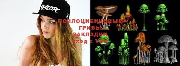 МДПВ Абдулино