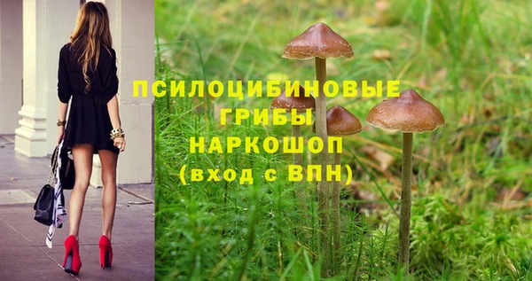 ГАЛЛЮЦИНОГЕННЫЕ ГРИБЫ Алзамай