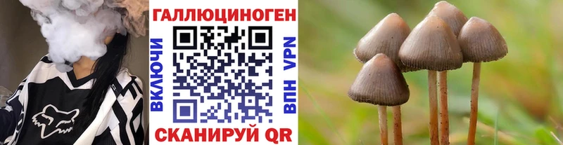 Псилоцибиновые грибы мицелий  купить   Княгинино 