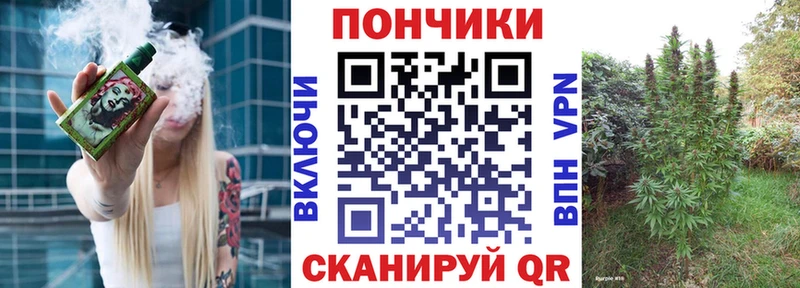 где можно купить   Княгинино  Каннабис ГИДРОПОН 